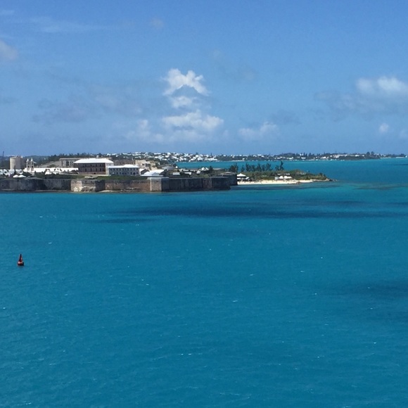 Meet your Posher, Winnie - Picture 1 of 1